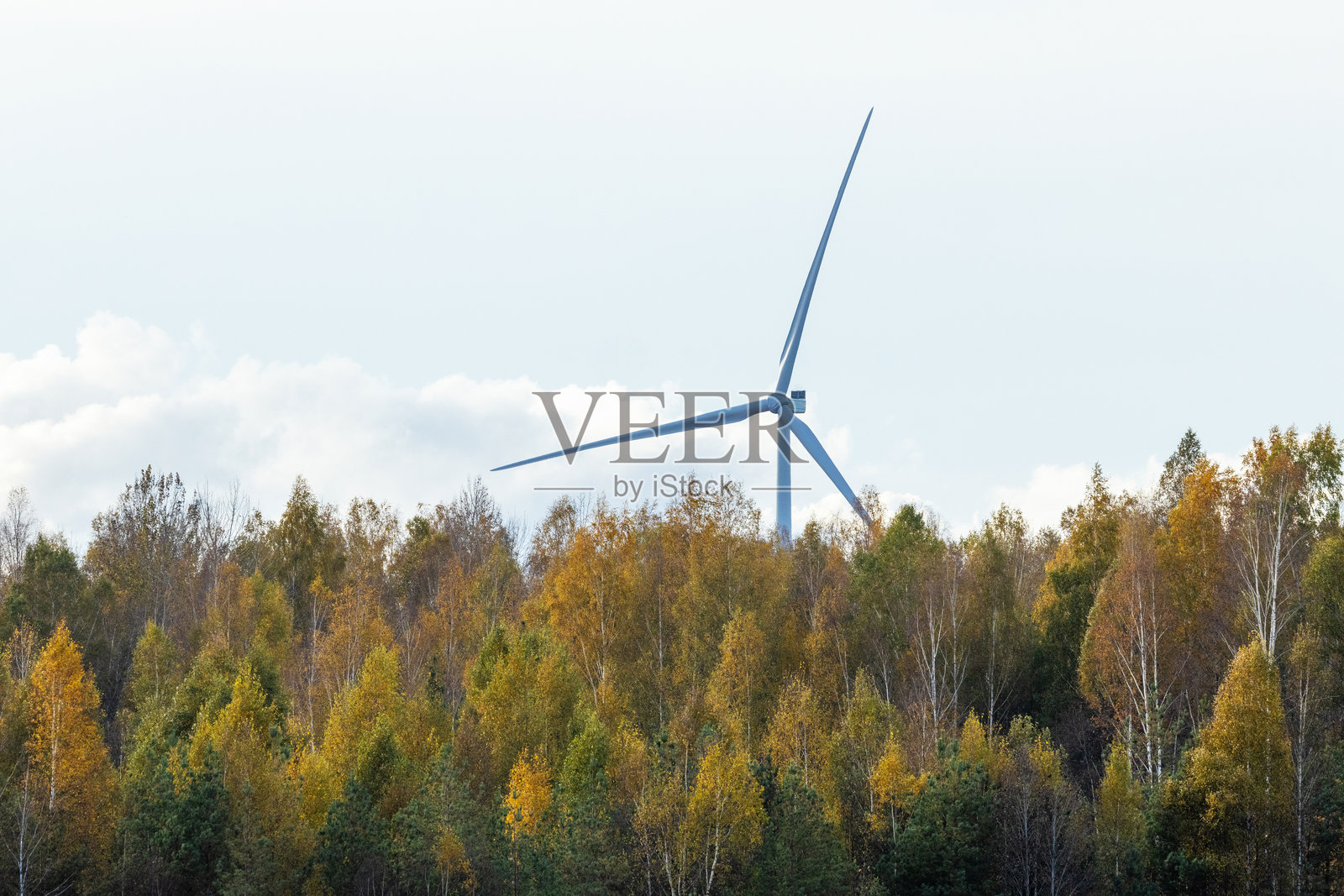高大的风力涡轮机在爱沙尼亚乡村的秋季森林后面利用风能照片摄影图片