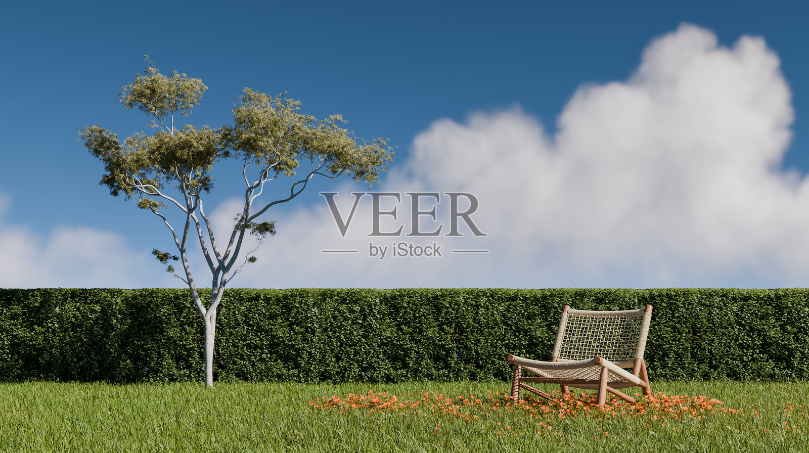 放松的户外环境与一把木椅照片摄影图片