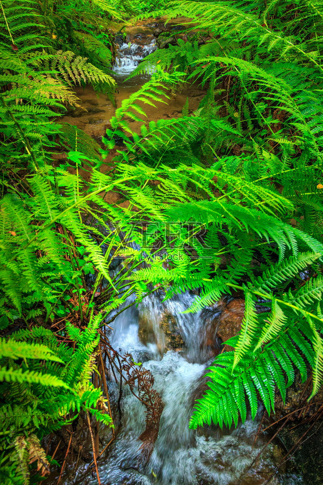法国比利牛斯山脉夏季的小河照片摄影图片
