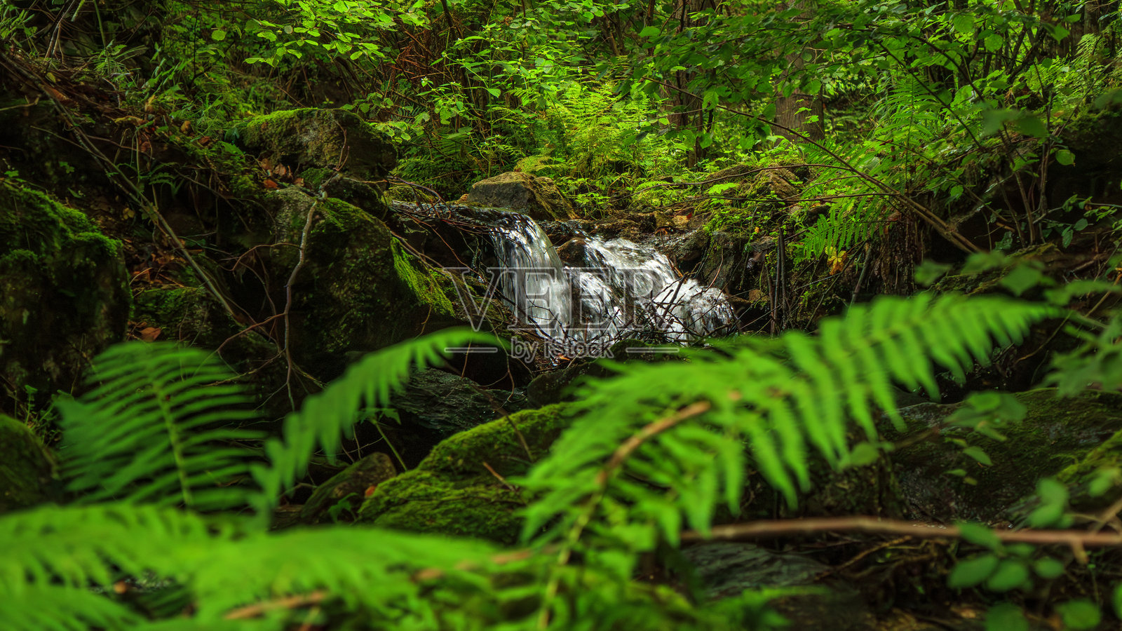 法国比利牛斯山脉夏季的小河照片摄影图片