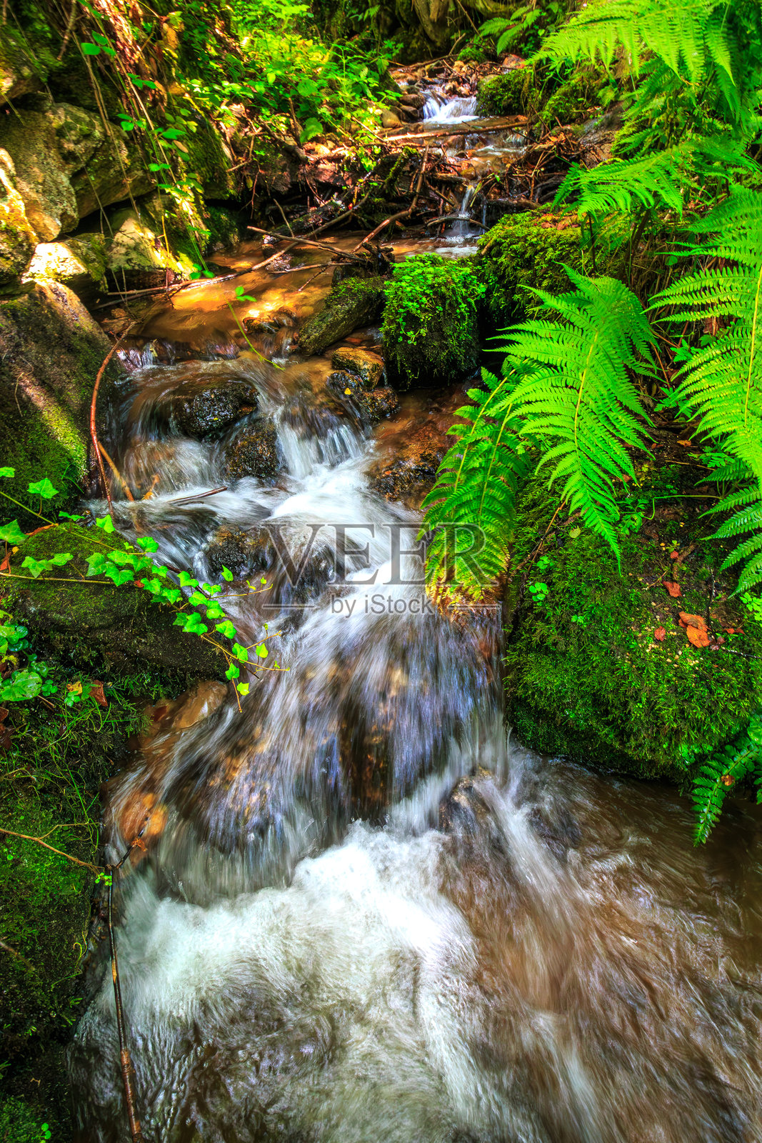 法国比利牛斯山脉夏季的小河照片摄影图片