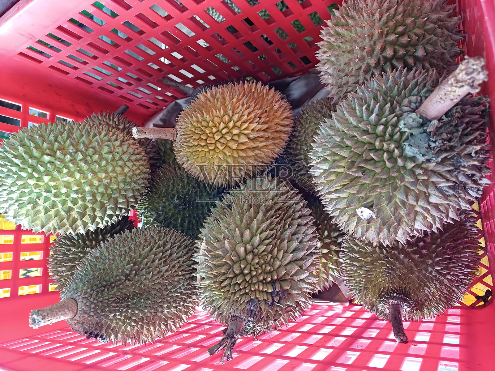 水果照片摄影图片