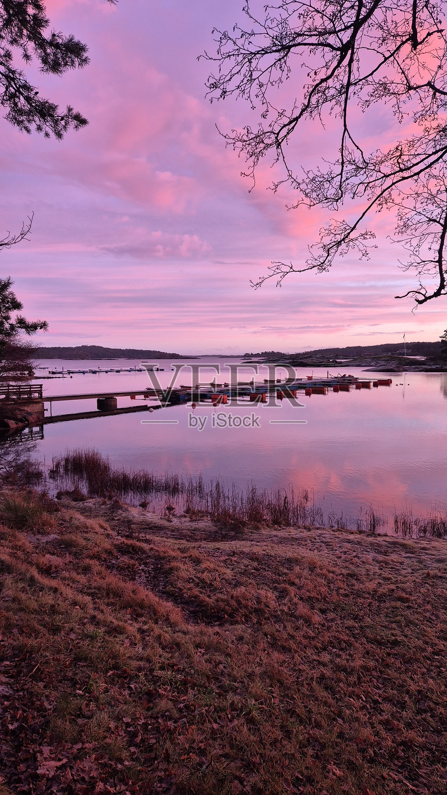 冬季早晨照片摄影图片
