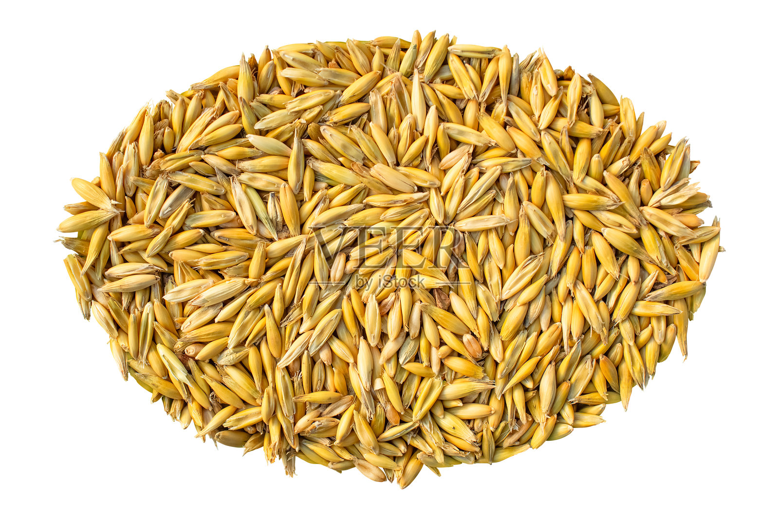 金色燕麦粒：健康早餐和健康食谱的基础。照片摄影图片