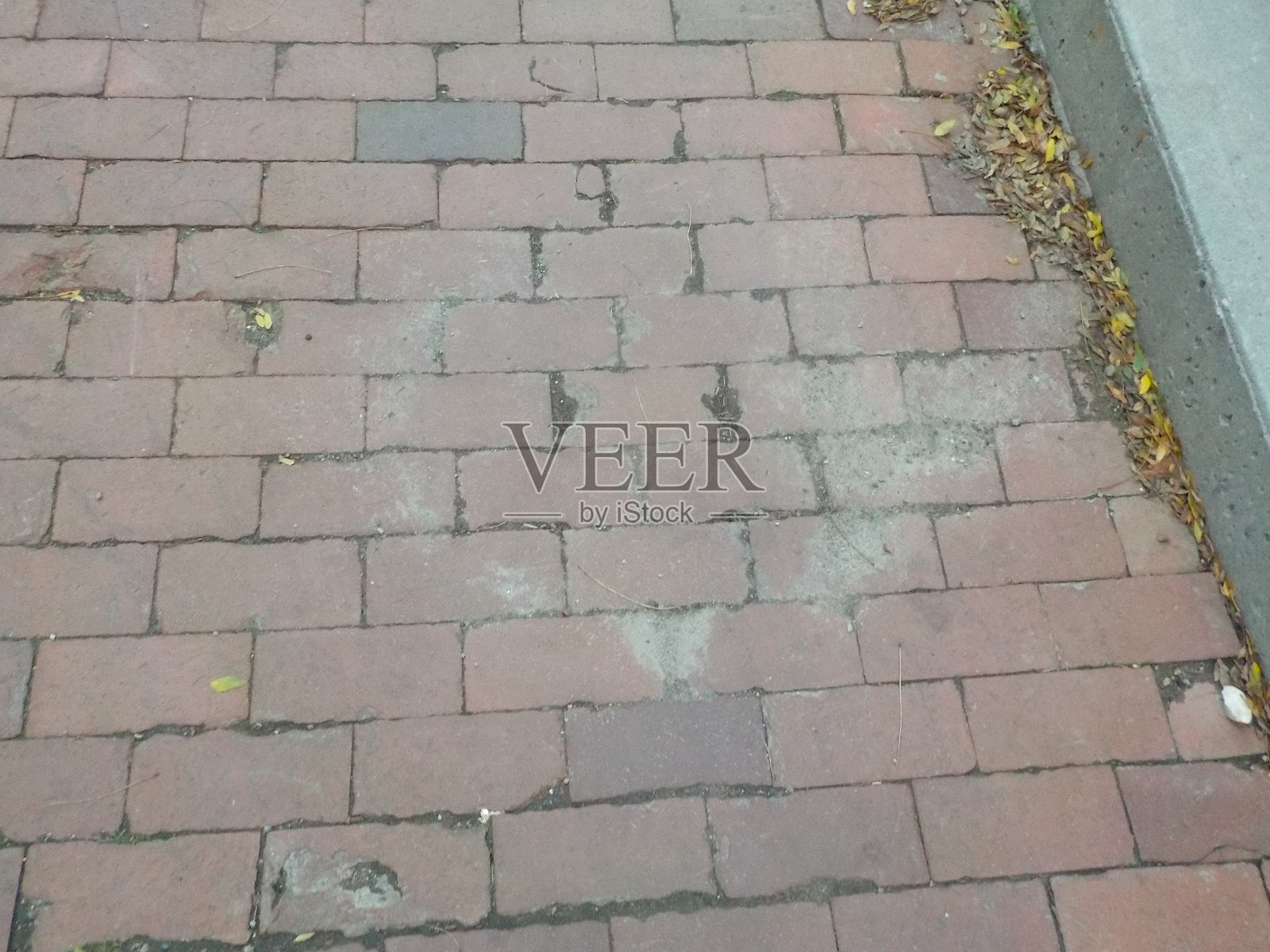 圭尔夫 - 皇家城市照片摄影图片