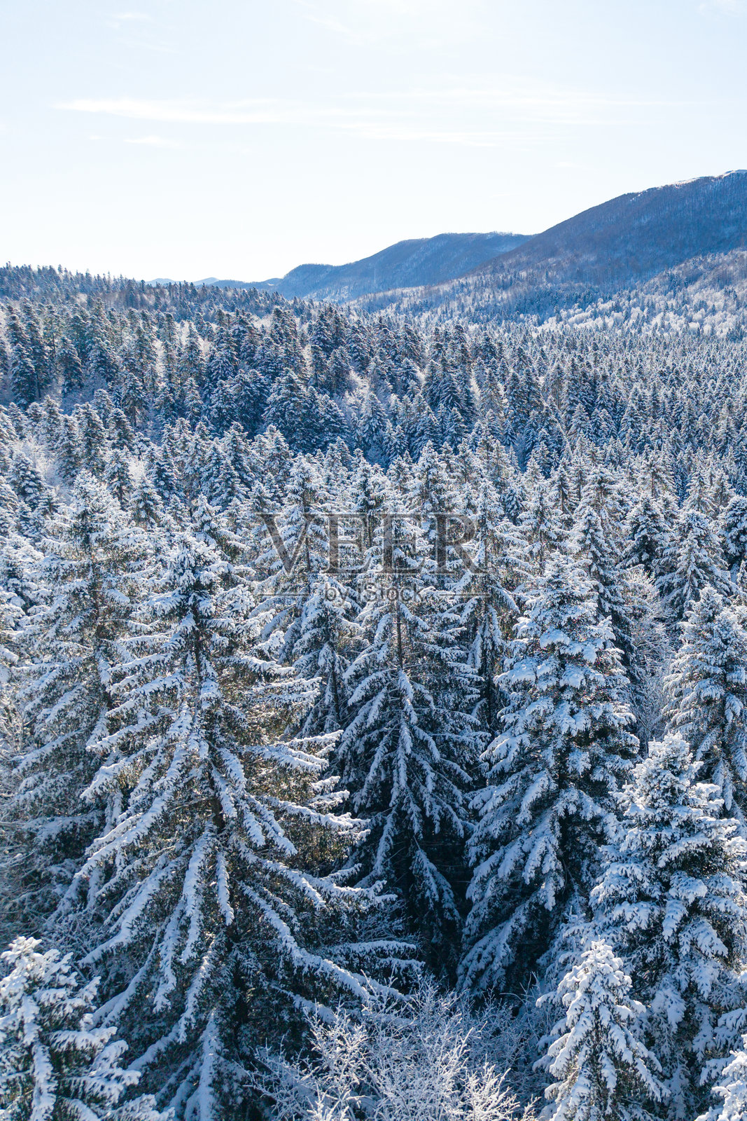 冬季照片摄影图片