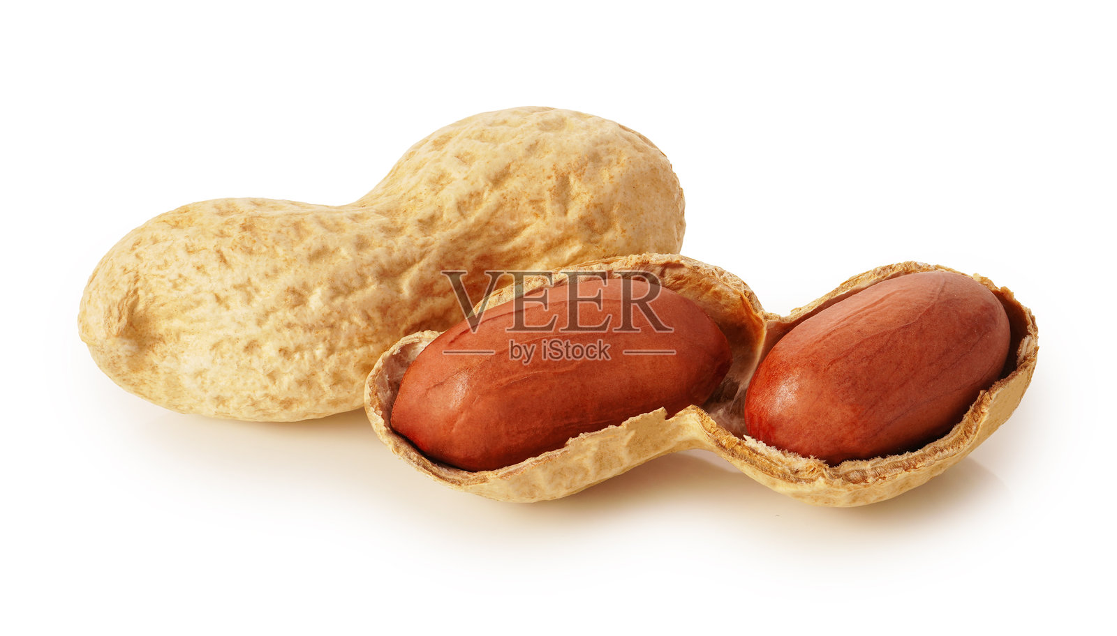 白色背景上的花生照片摄影图片