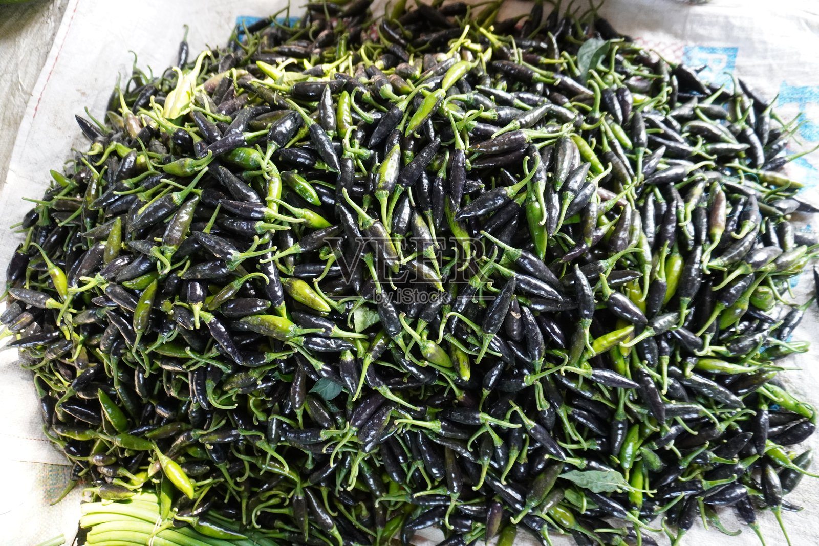 绿色辣椒散落在塑料袋上照片摄影图片