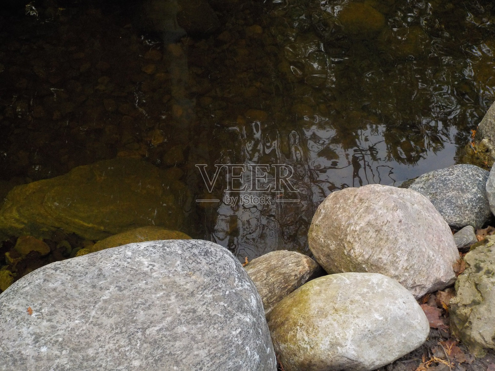圭尔夫 - 皇家城市照片摄影图片