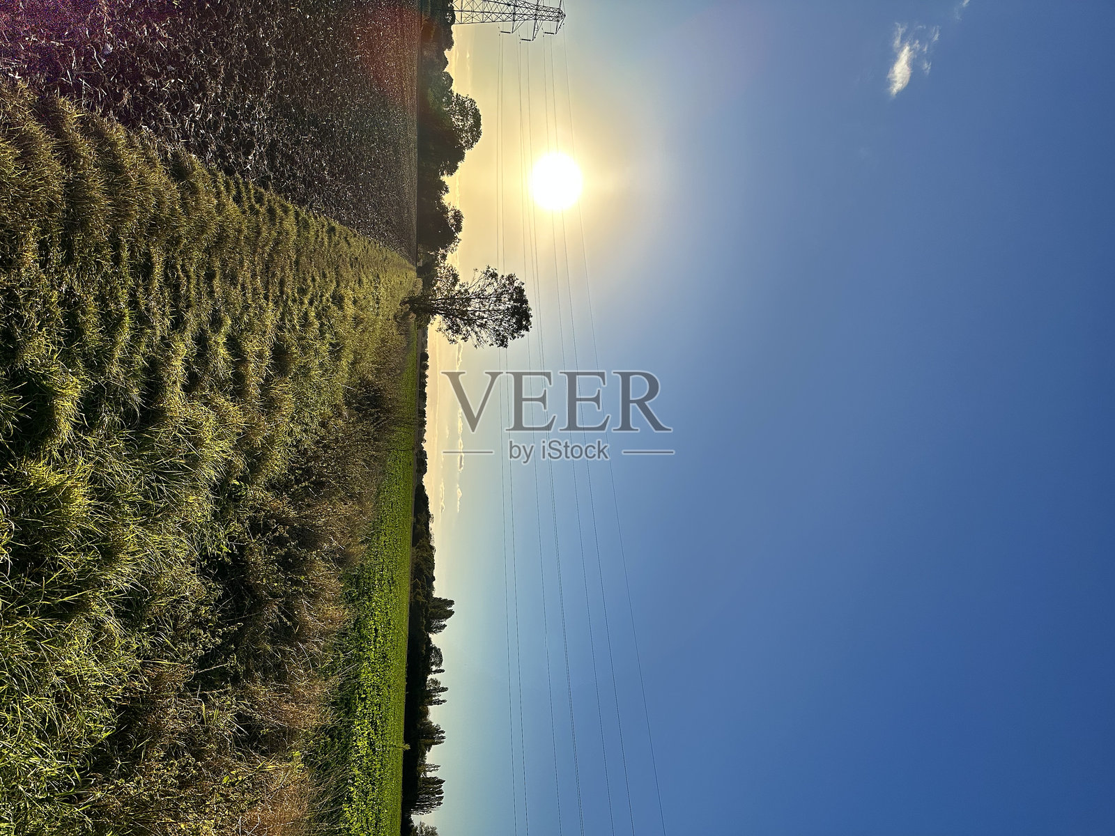 美丽的傍晚照片摄影图片