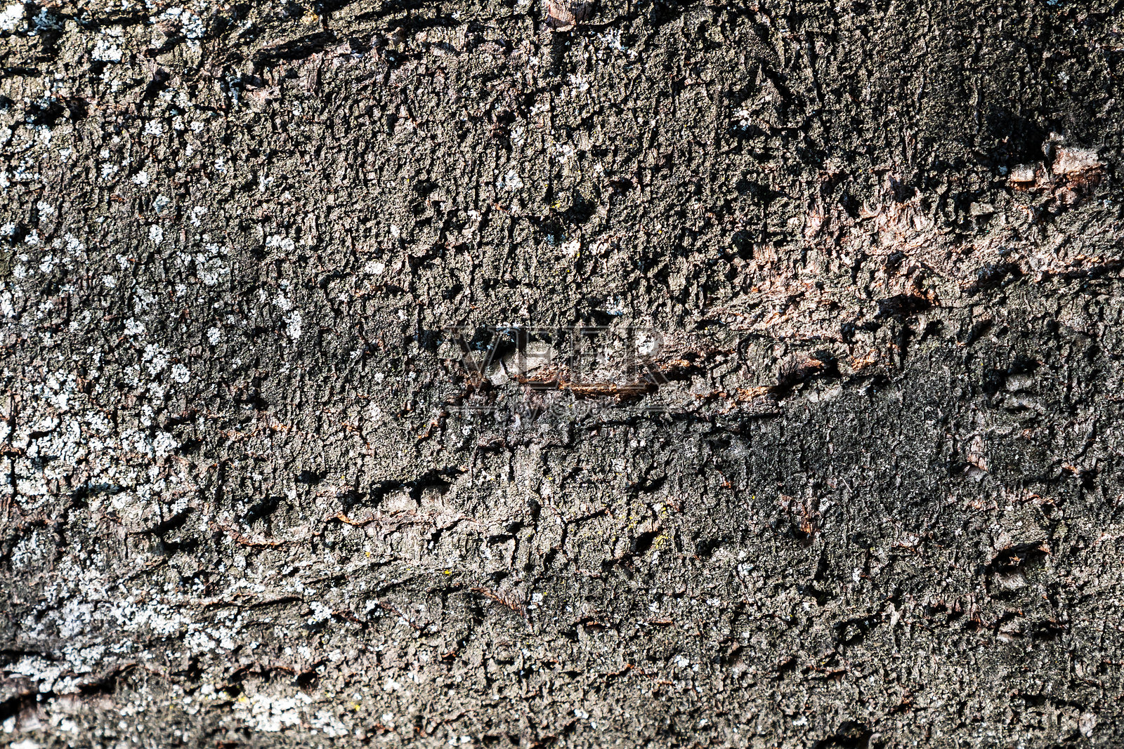 木质抽象纹理。表面磨损背景。脏木效果图案。材料背景。照片摄影图片