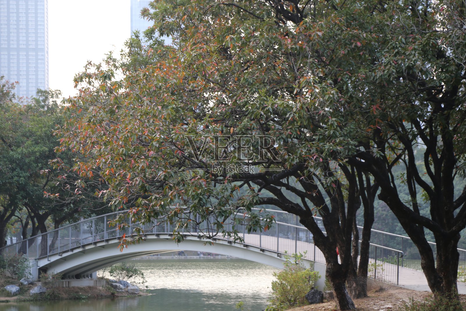 一座桥横跨河流，两岸有树木。照片摄影图片