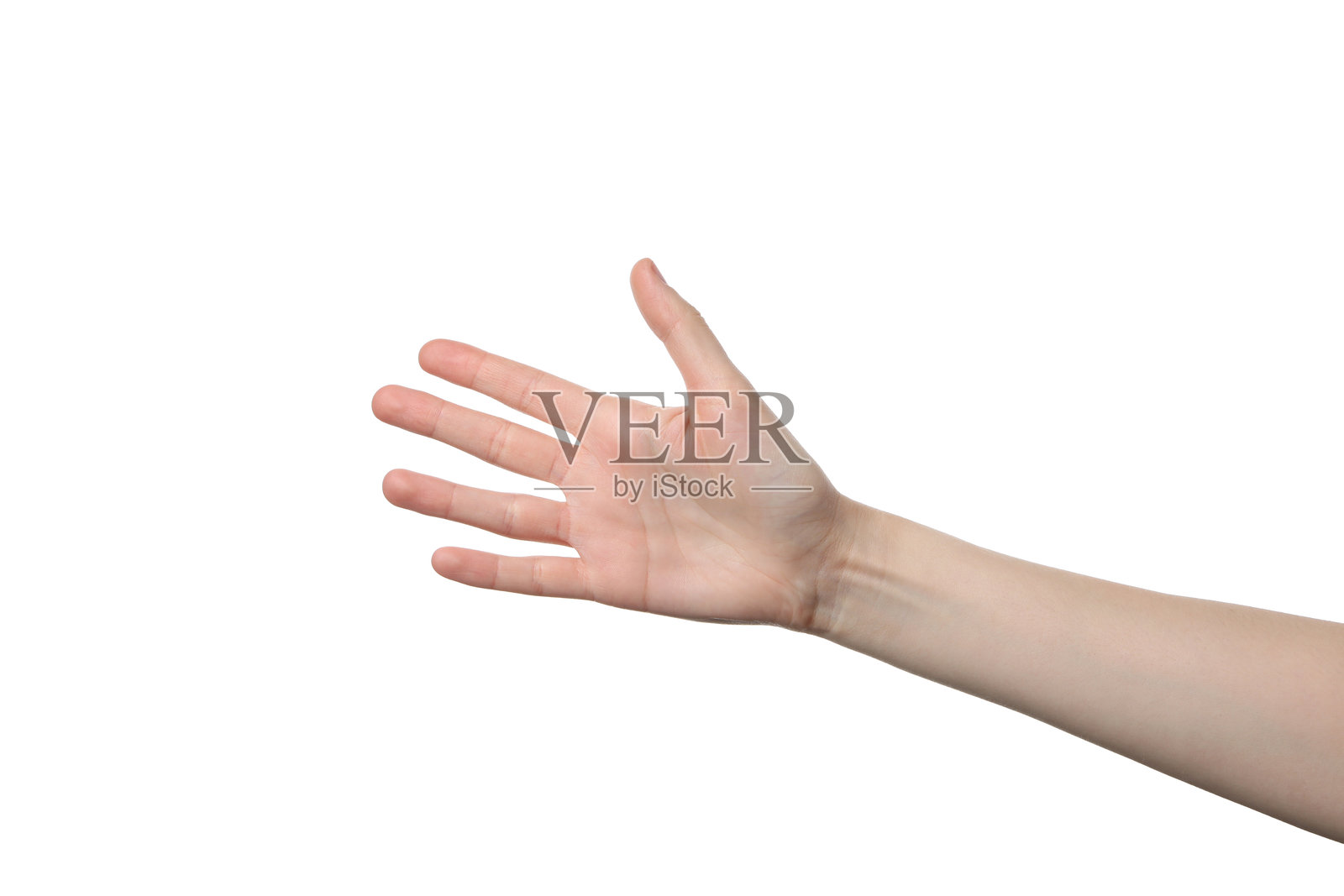 女性手掌，孤立在白色背景上照片摄影图片