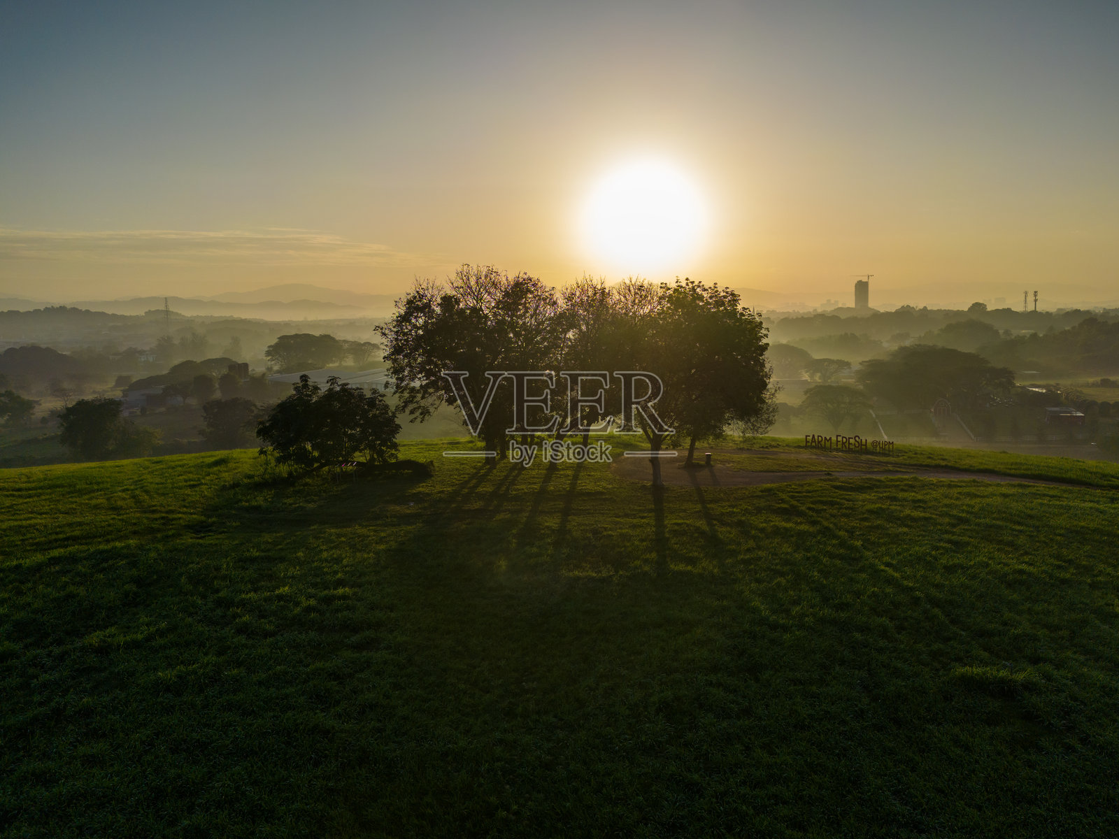 日出照片摄影图片