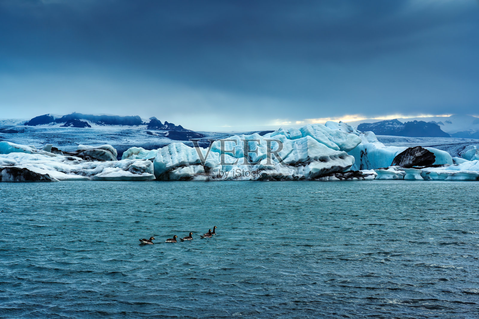 冰蓝色冰山与冬季在约库尔萨龙冰川湖中飞翔的鸭群的美丽景色照片摄影图片