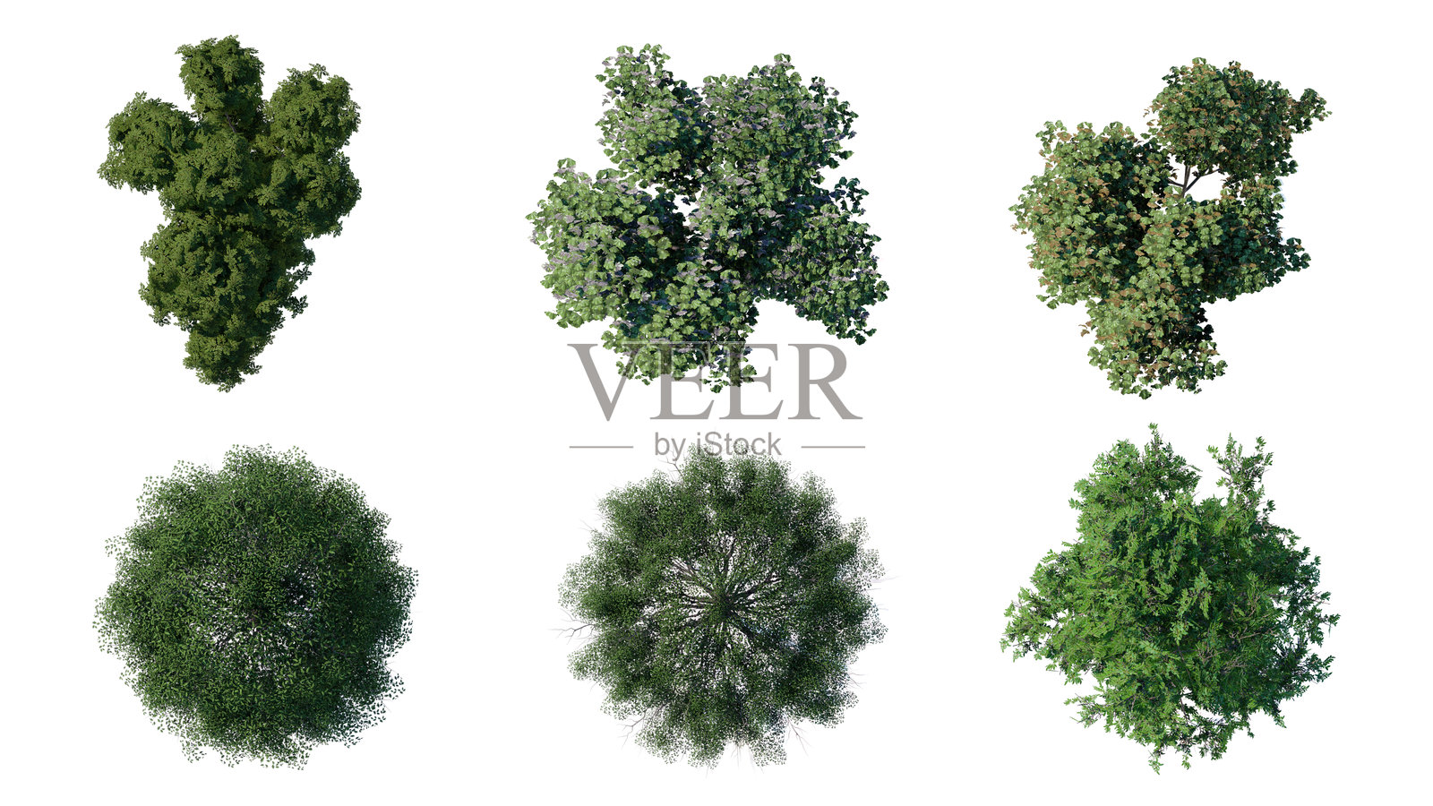 树顶视角植物景观建筑自然花园鸟瞰图。照片摄影图片