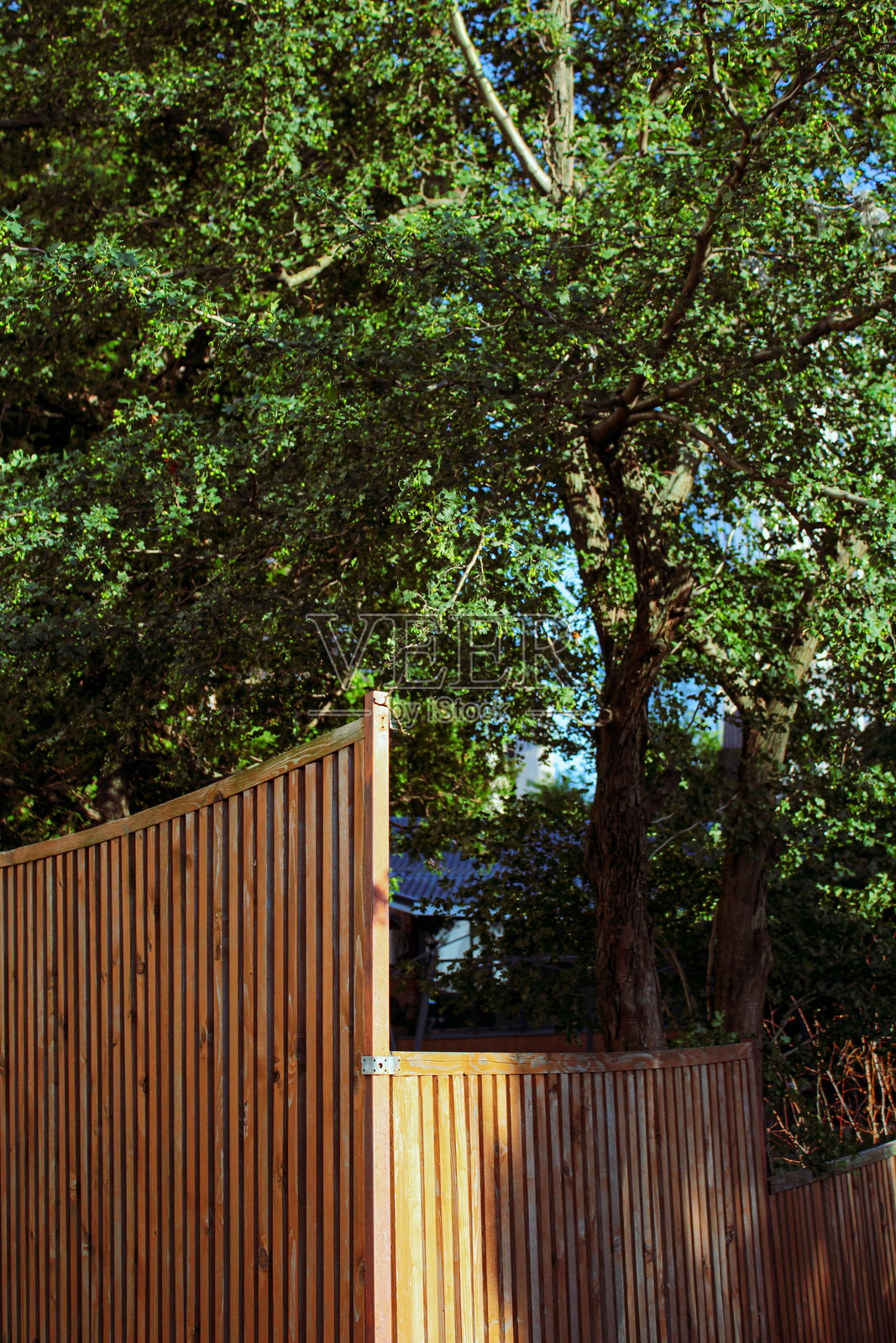 树周围的漂亮木栅栏照片摄影图片