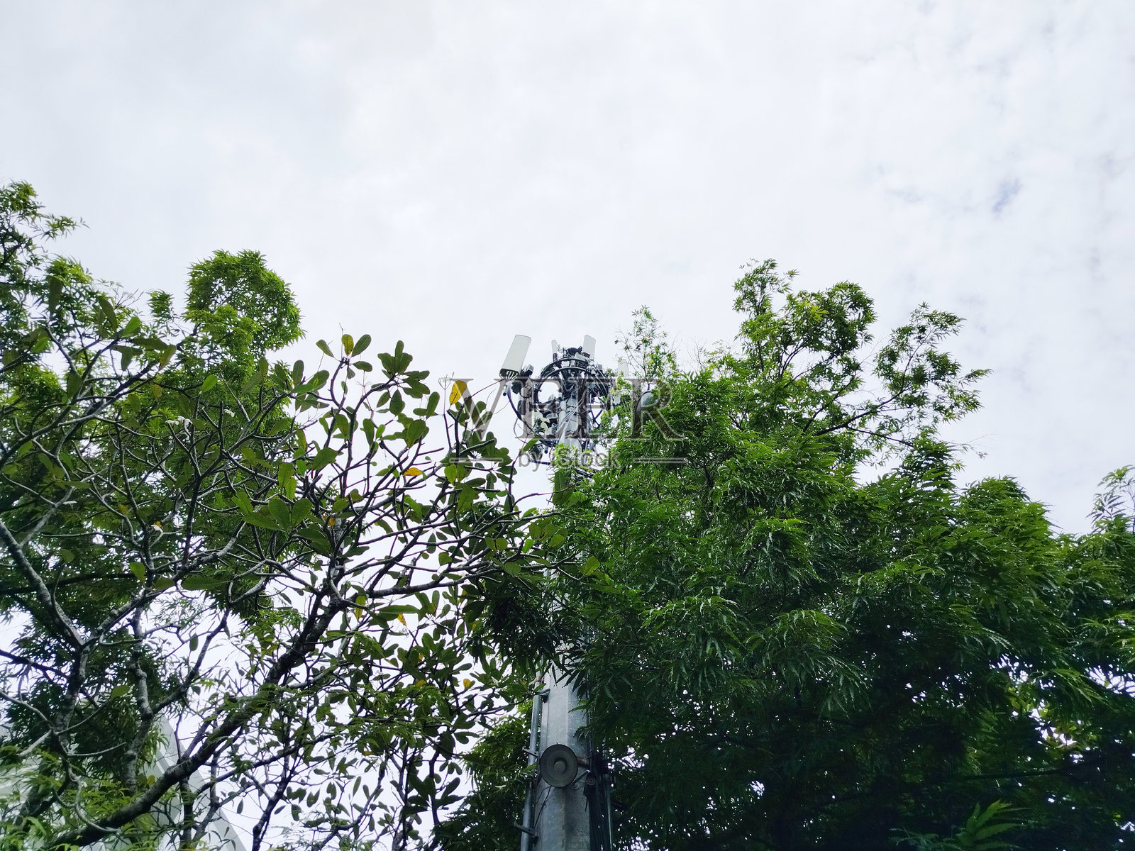 手机信号塔照片摄影图片