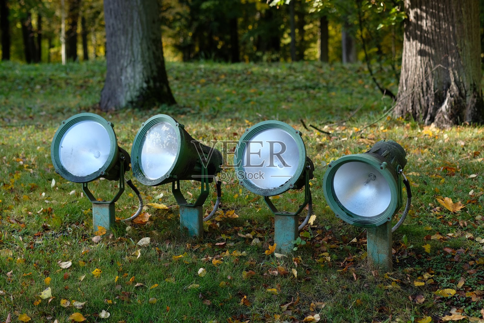 建筑外立面的夜间照明聚光灯安装在地面上，周围是黄色的落叶。照片摄影图片