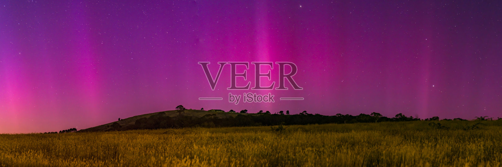 南极光在黎明前的天空中绽放出粉色的光芒照片摄影图片