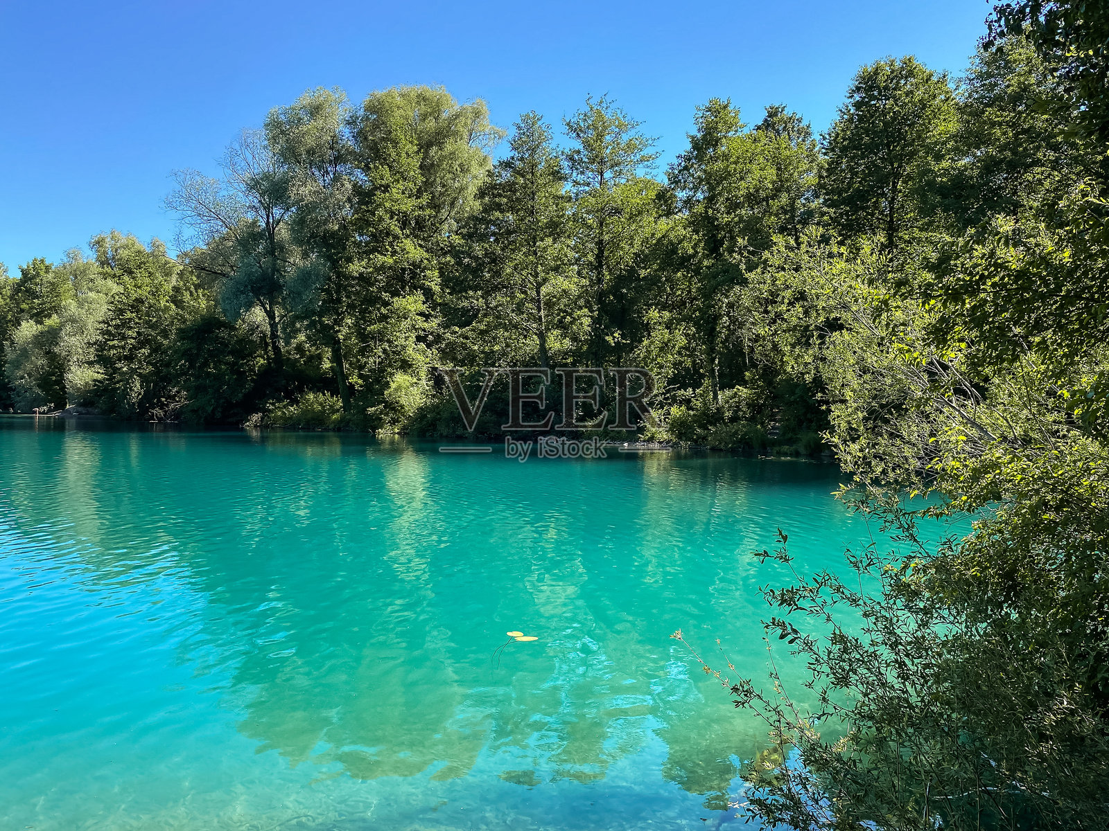 水面倒映着天空，背景中有树木。照片摄影图片