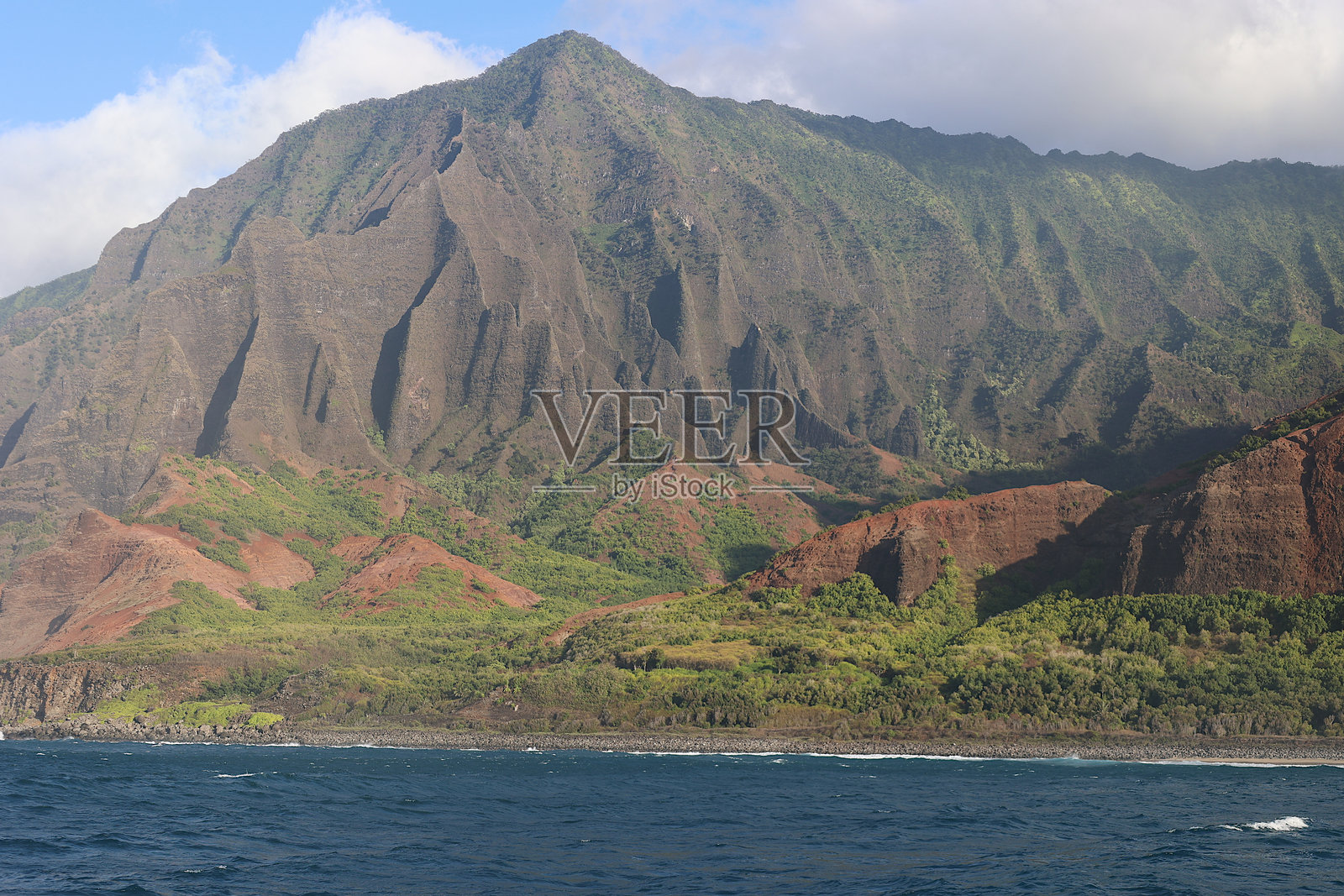 热带植物 - 纳帕利海岸，考艾岛，夏威夷照片摄影图片