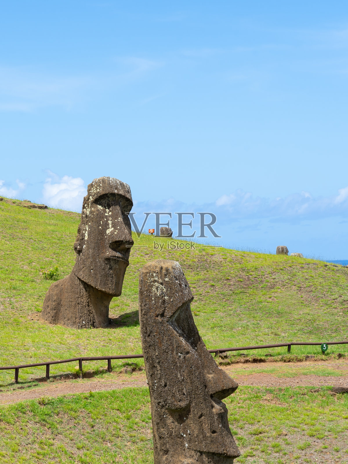 复活节岛（拉帕努伊），智利，拉诺拉拉库山坡上的摩艾石像。照片摄影图片