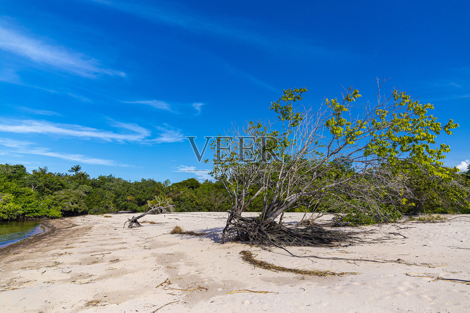 阿尔特尔多尚（PA）的旅游业照片摄影图片