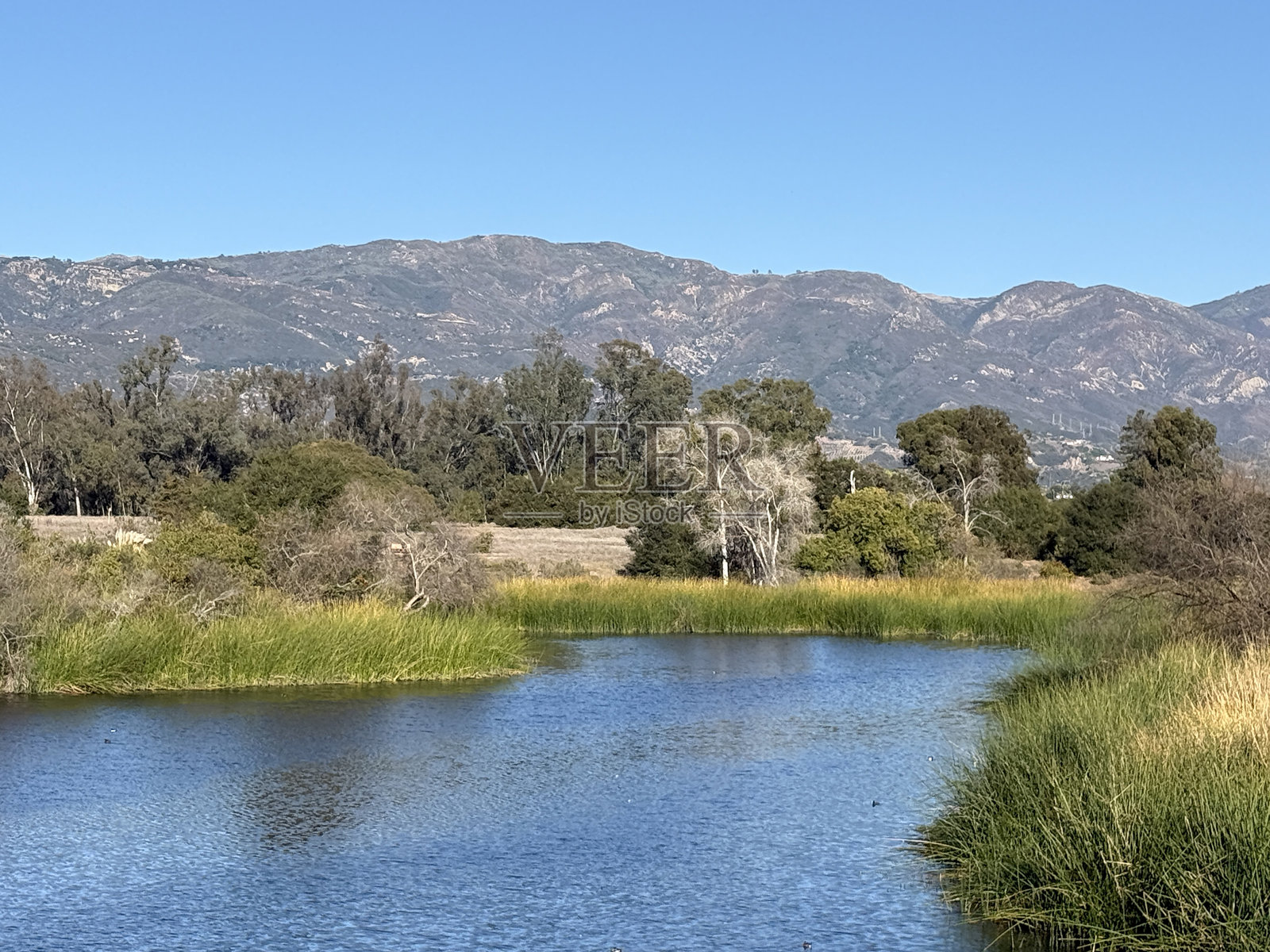 卡内罗斯湖照片摄影图片