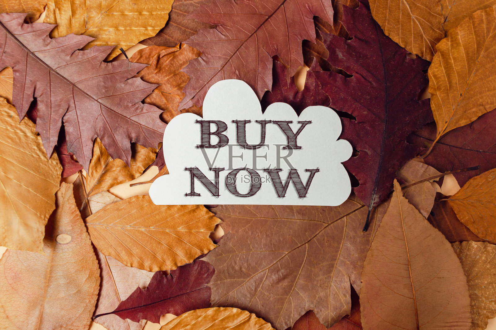 一堆秋天的落叶，上面写着“立即购买”照片摄影图片