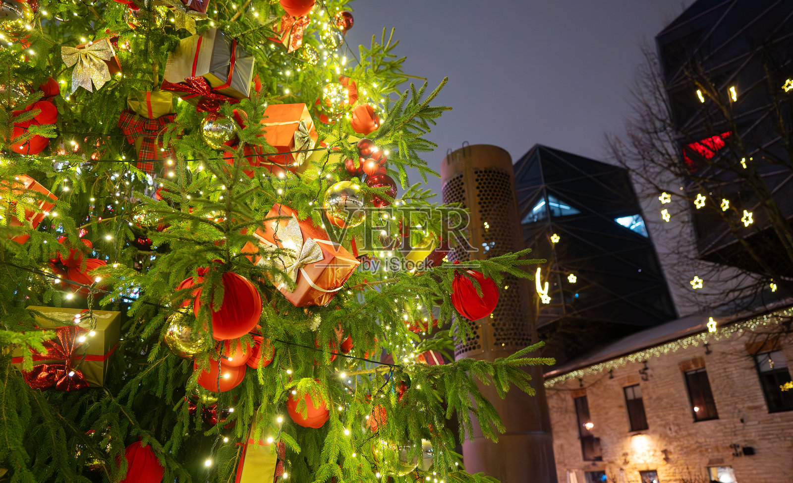 塔林罗特曼区的美丽圣诞树。照片摄影图片