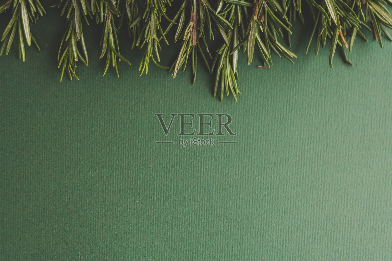 新鲜迷迭香枝条平铺在深绿色背景上，展示自然纹理和生动的绿色色调。非常适合烹饪、草药或装饰用途。照片摄影图片