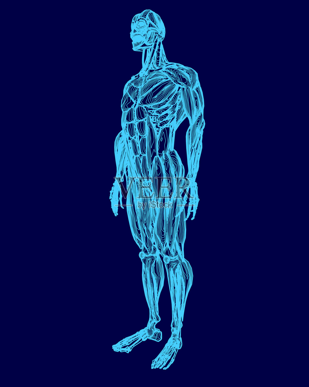 蓝色的人体素描，双臂交叉。画中的男性体格健壮。插画图片素材