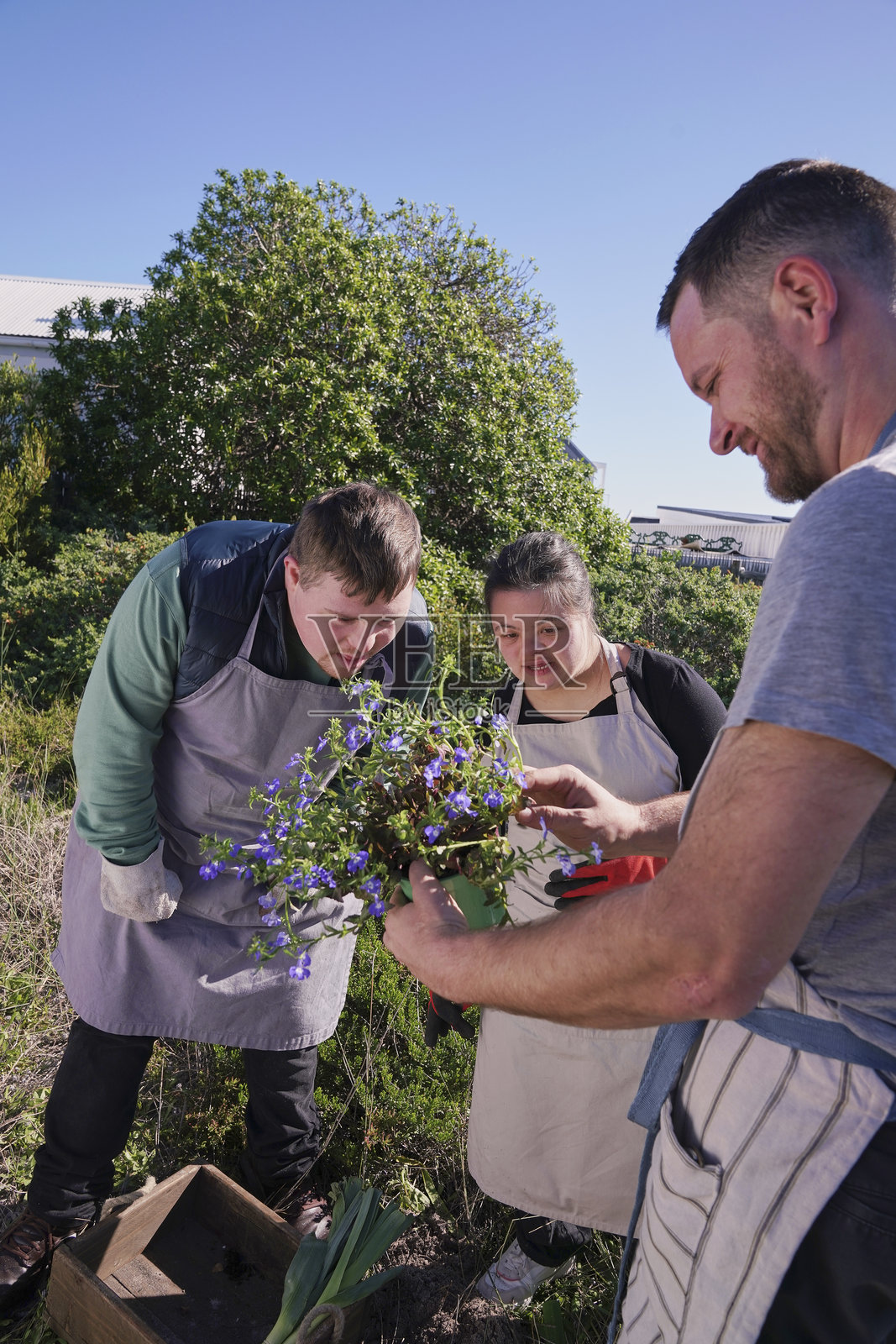 残疾人士在园艺活动中照片摄影图片