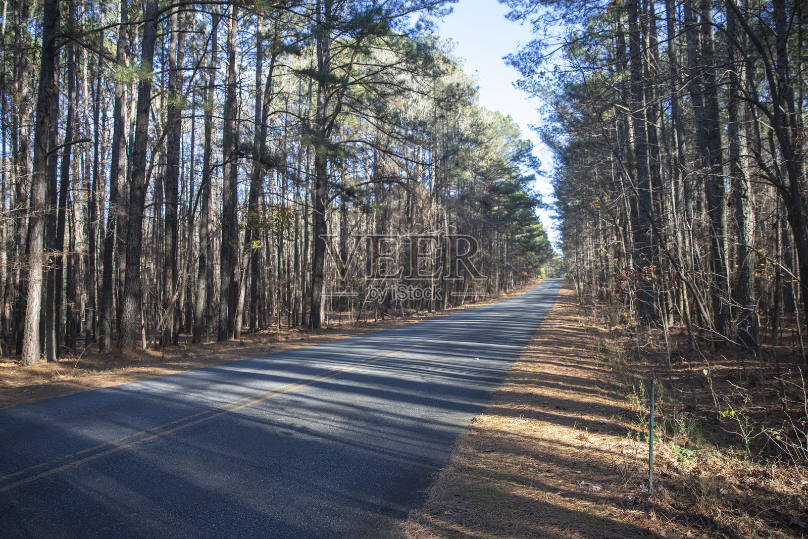 小路照片摄影图片