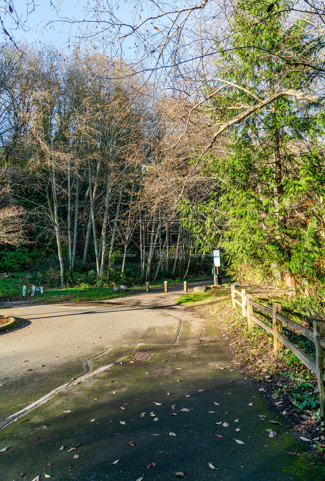 小溪小道入口照片摄影图片
