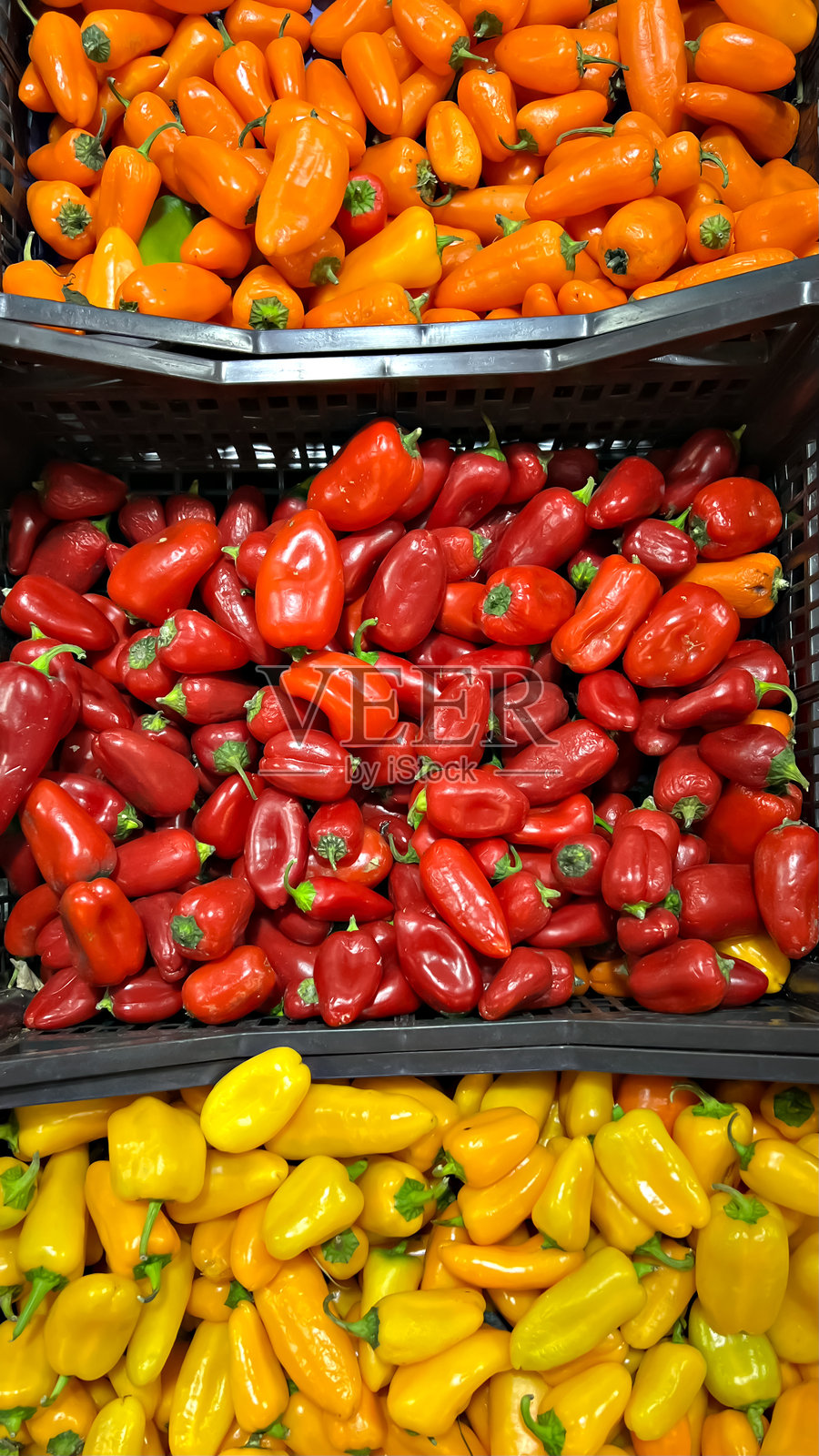 新鲜的红色、黄色和橙色甜椒装在塑料市场箱中待售照片摄影图片