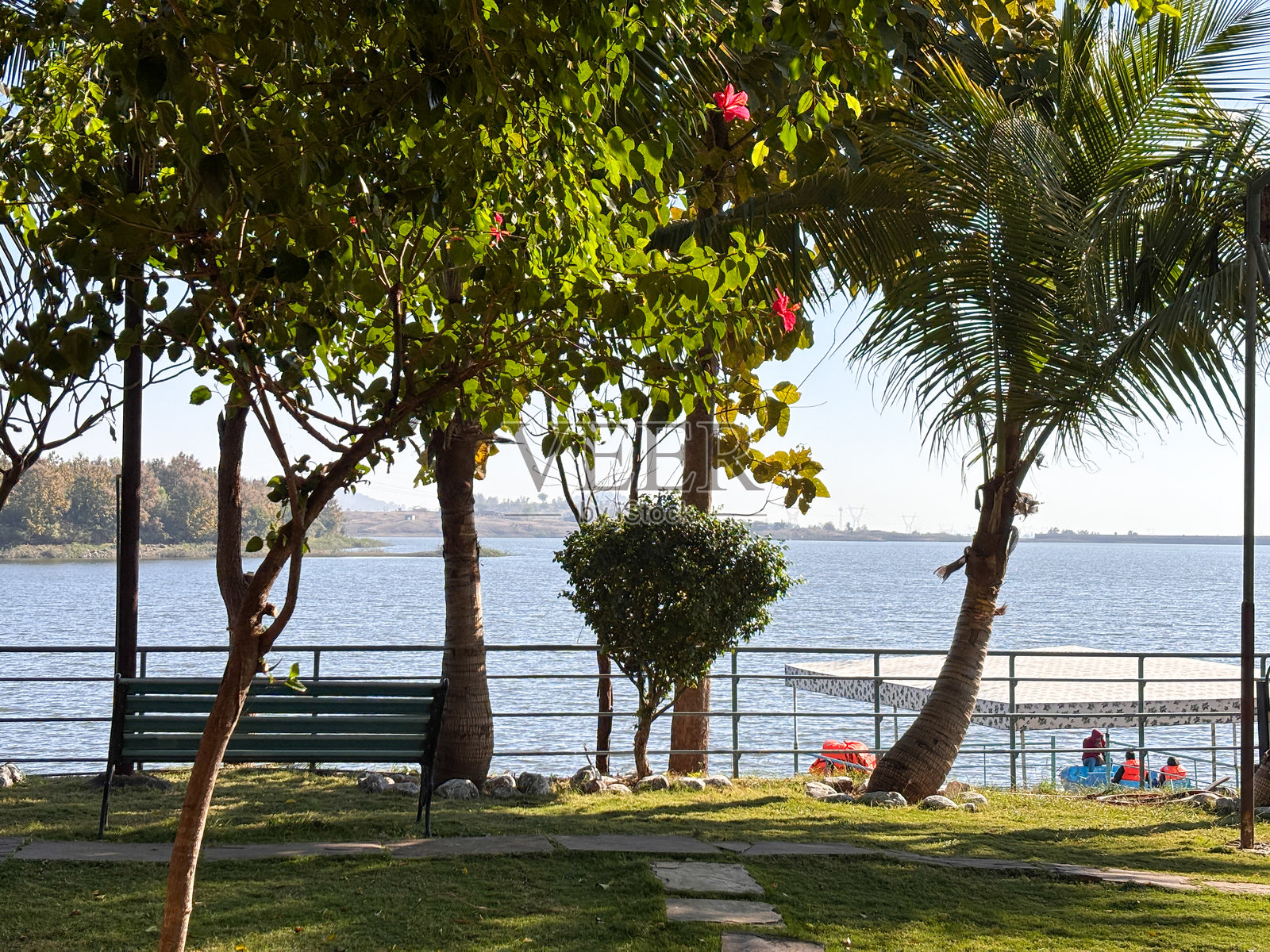一个有长椅和码头的公园，靠近水边照片摄影图片