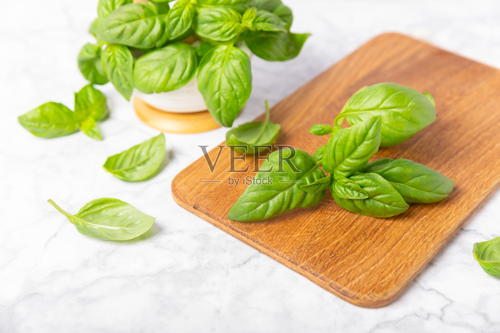 绿色罗勒叶子在有纹理的木质背景上。厨房香草，香料。新鲜的绿色有机罗勒。素食。沙拉用的绿叶。留白处。照片摄影图片