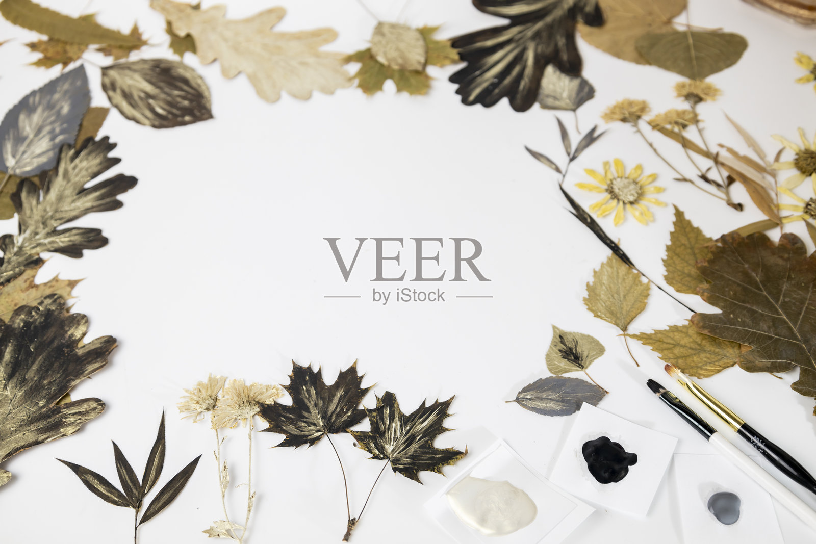 用叶子和颜料手工制作。准备用叶子、颜料和画笔制作框架工艺。将干燥的不同植物和花卉的标本放置在纸上。照片摄影图片