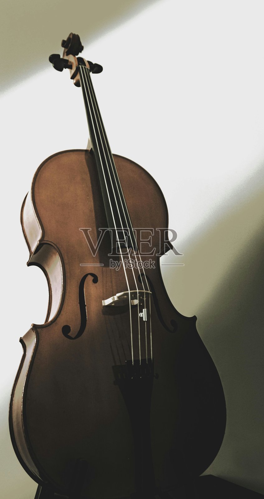 Safa Shax 黑暗学术风格 2025照片摄影图片