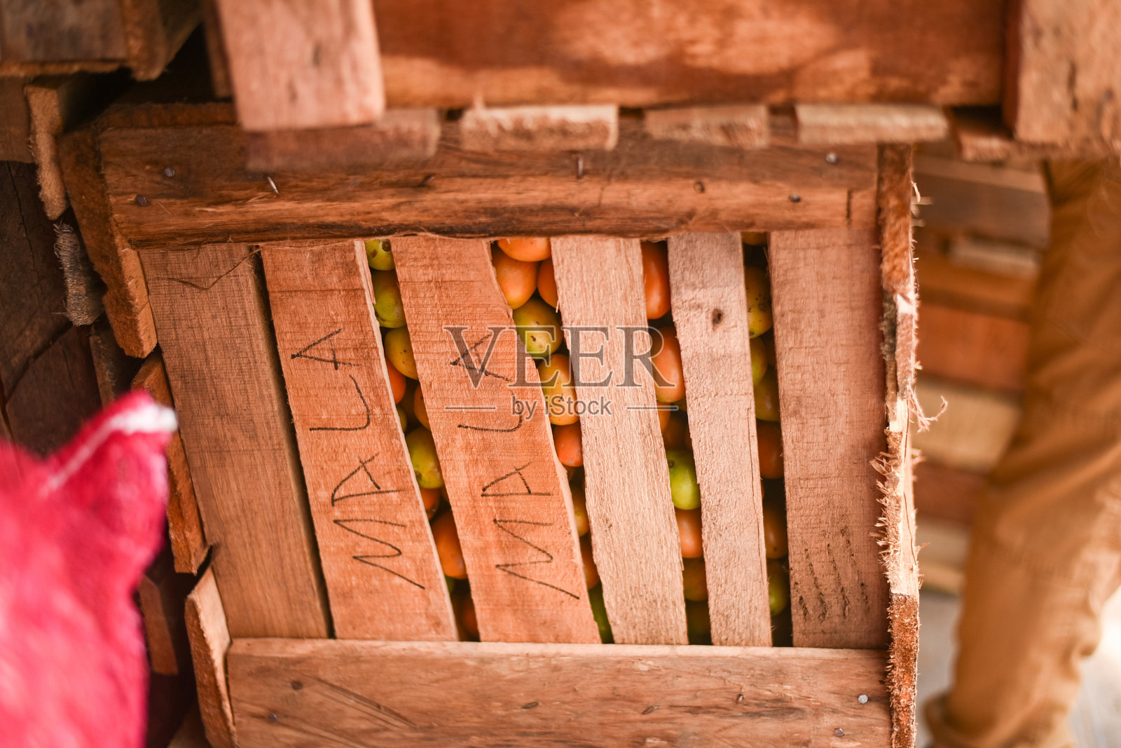 新鲜番茄在木箱里照片摄影图片