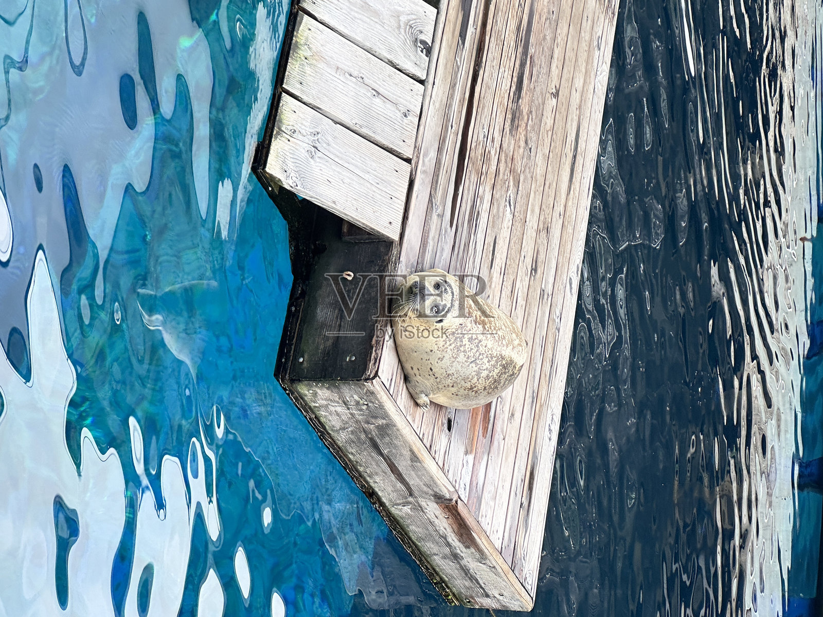 码头上的小憩照片摄影图片