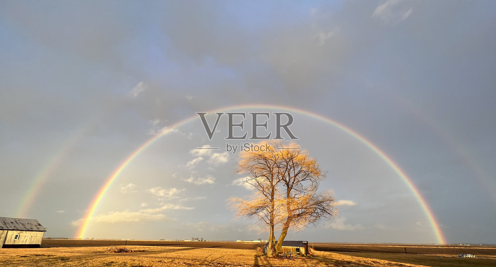 双彩虹 - 垂柳照片摄影图片