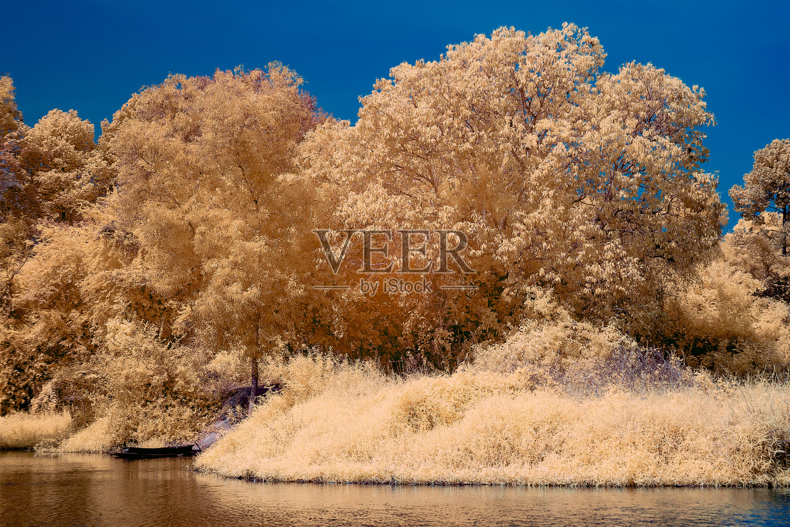 红外摄影，宁静的风景中有一片水面，倒映着树木和草地的景象照片摄影图片