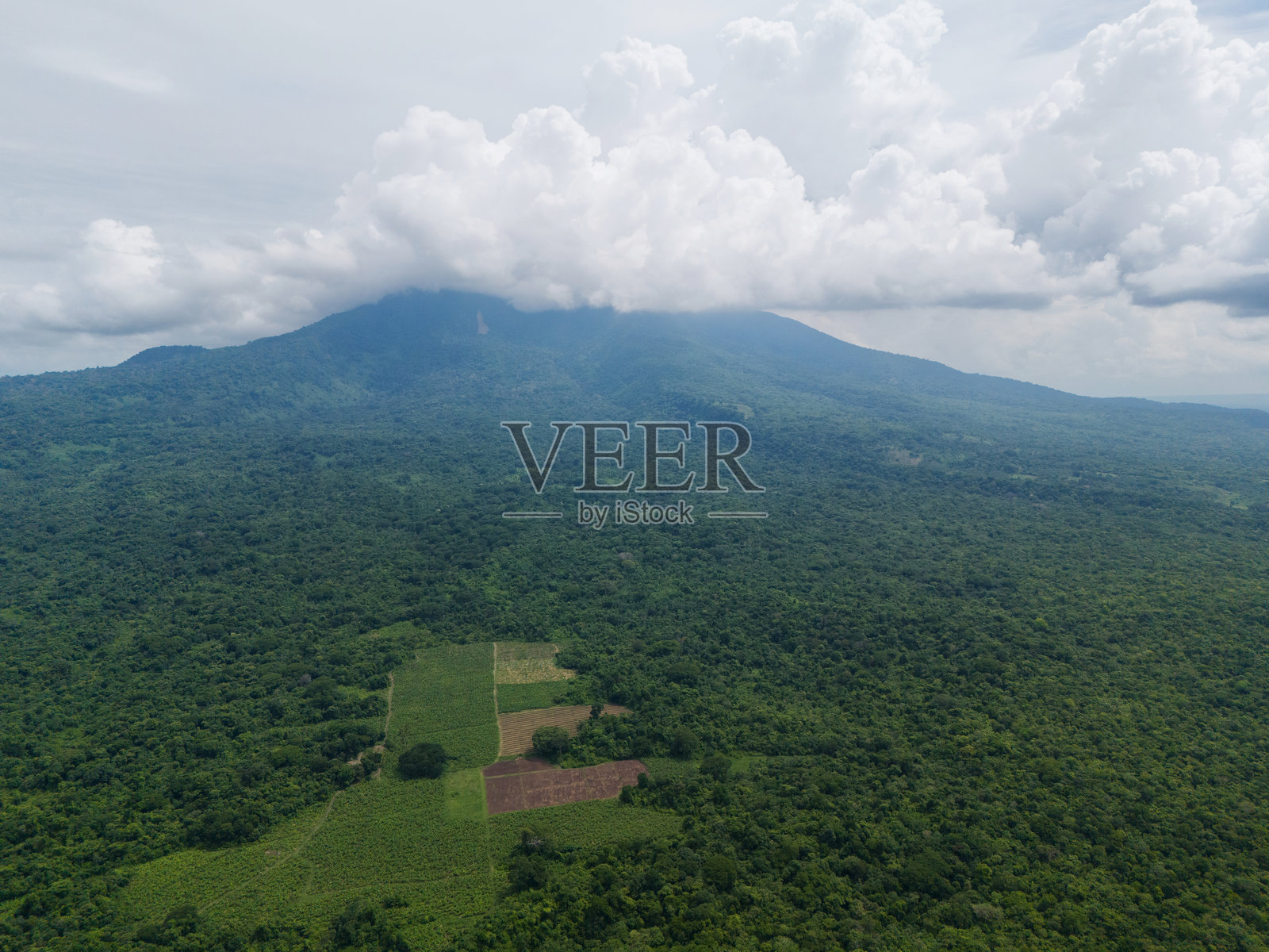 火山山丘上的绿色农田照片摄影图片