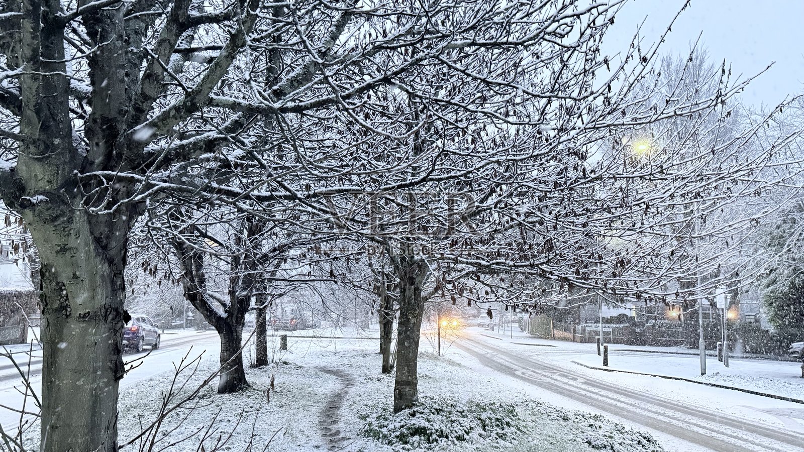 布莱顿的雪照片摄影图片