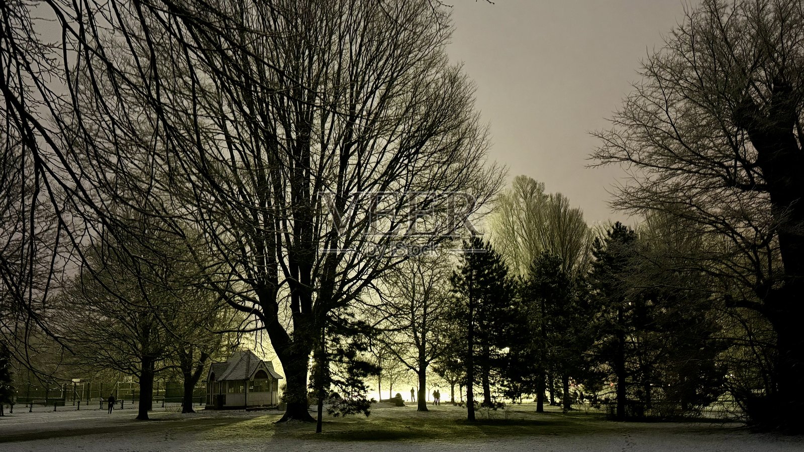 布莱顿的雪照片摄影图片