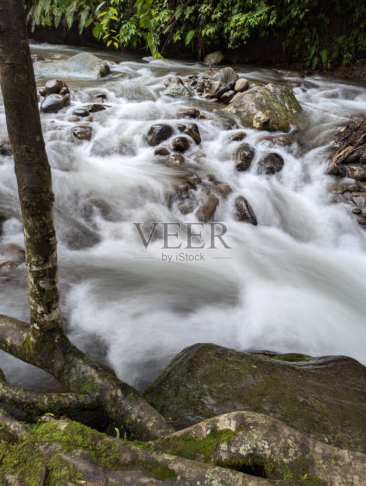 一条河流穿过照片摄影图片