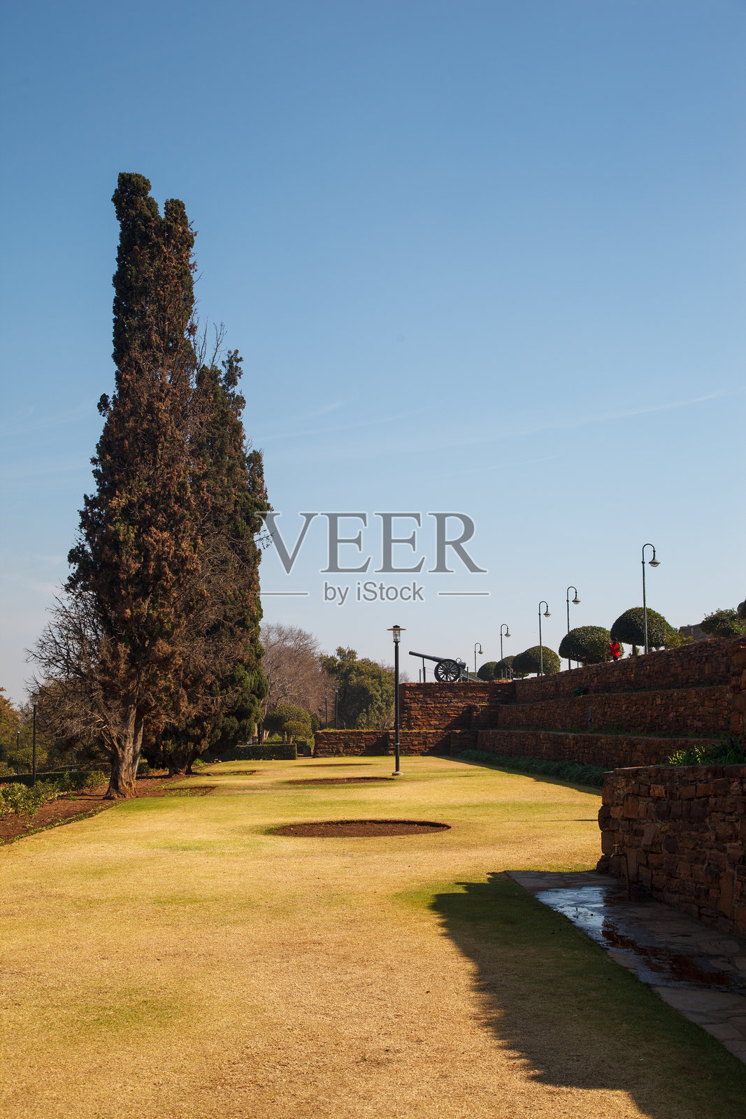 南非豪登省比勒陀利亚的联邦大厦花园和柏树照片摄影图片